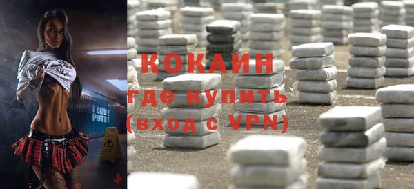 СК Алексин