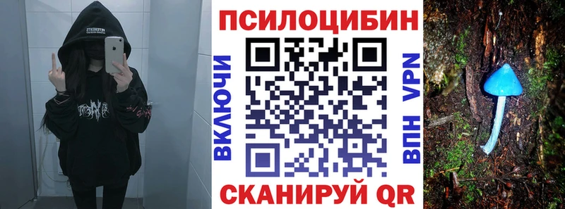 Галлюциногенные грибы MAGIC MUSHROOMS  Камышин 